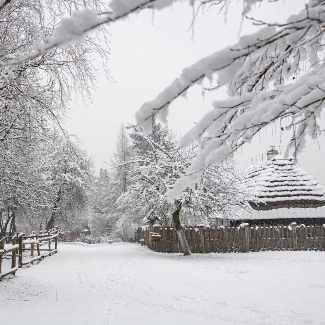 muzeum wsi lubelskiej