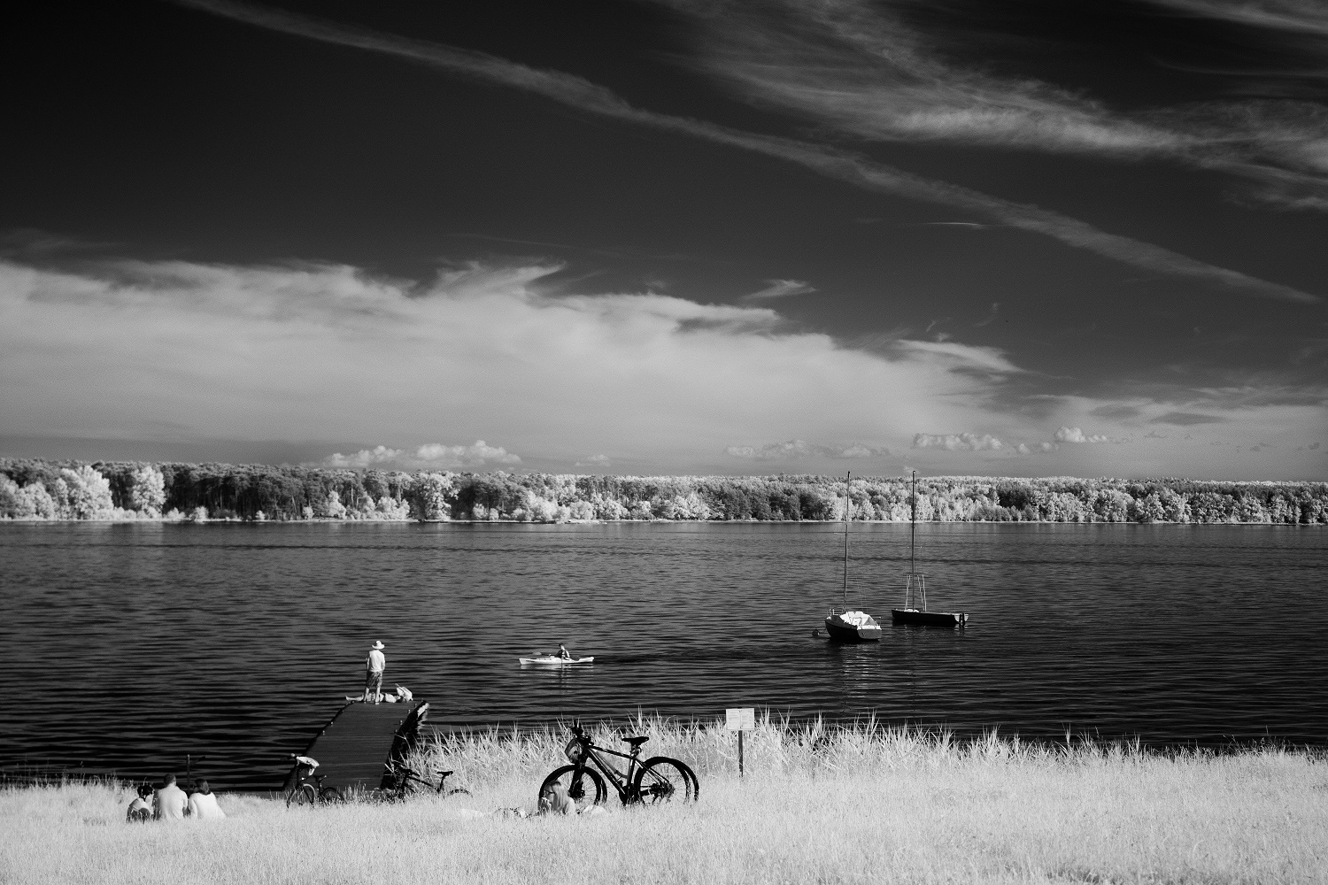 01 Warchocki Tomasz Zalew